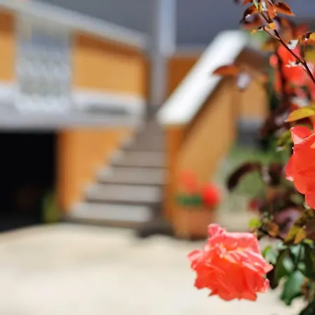 Apartment Kero Bibinje