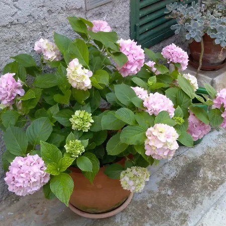 Kero Appartement Bibinje