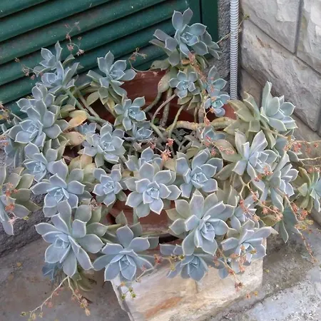 Kero Apartman Bibinje